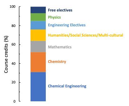 ccny chemical engineering curriculum|Overview of the Undergraduate Curricula .